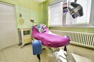 FOTO: Nemocnice Šumperk