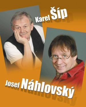 Všechnopartička