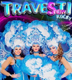 Travesti Show Kočky