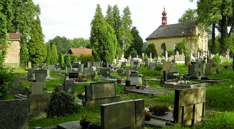 Ilustrační fotografie