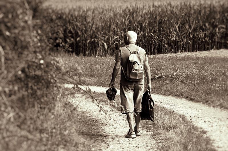 Ilustrační foto (Pixabay.com)