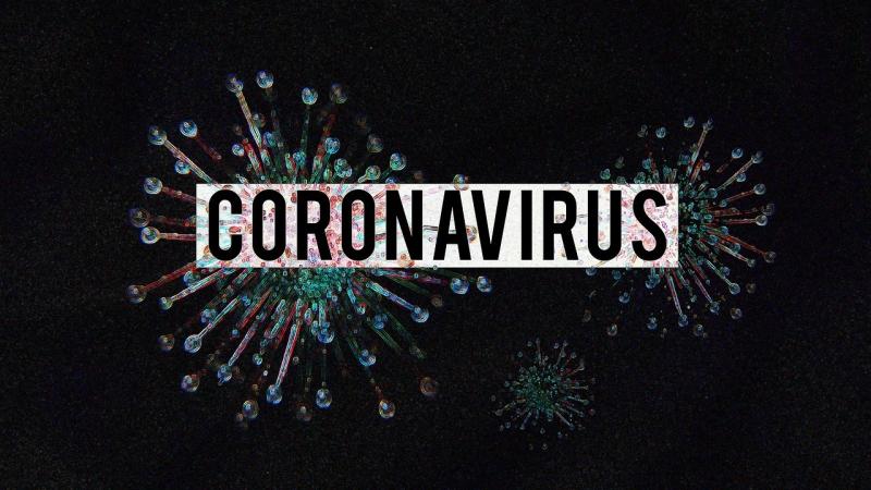 FOTO: sumperk.cz - coronavirus 4923544 1280