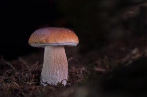 FOTO: sumperk.cz - 