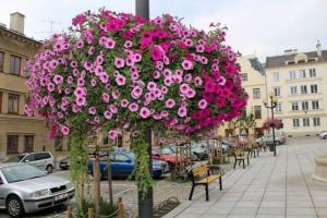 FOTO: sumperk.cz - 