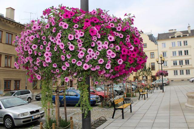 FOTO: sumperk.cz - 