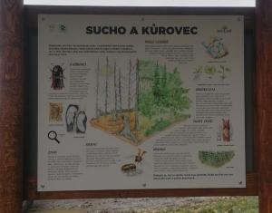 FOTO: sumperk.cz