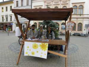 FOTO: sumperk.cz - Český den proti rakovině 2012