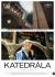 Katedrála
