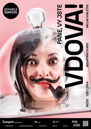 PANE, VY JSTE VDOVA! / sk. B + volný prodej / od 18:30 dramaturgický úvod